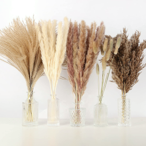 assorteddriedgrassflowers